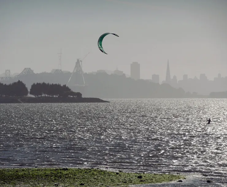 Bay from Eastshore State Park by Steve Boland via Flickr Creative Commons