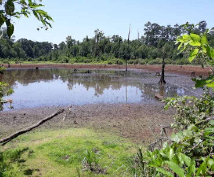Big Slough WIlderness