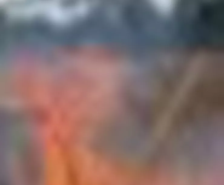 Burn in wilderness