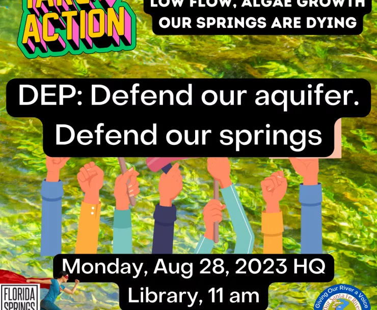 DEP Defend our Springs