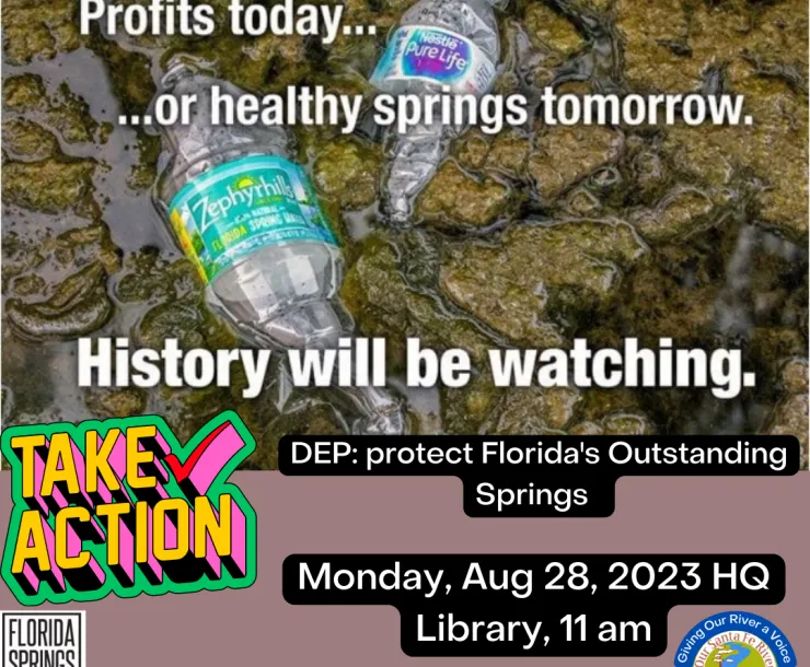 Take Action