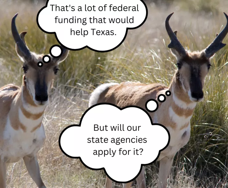 Pronghorn antelope talking about IRA federal funding