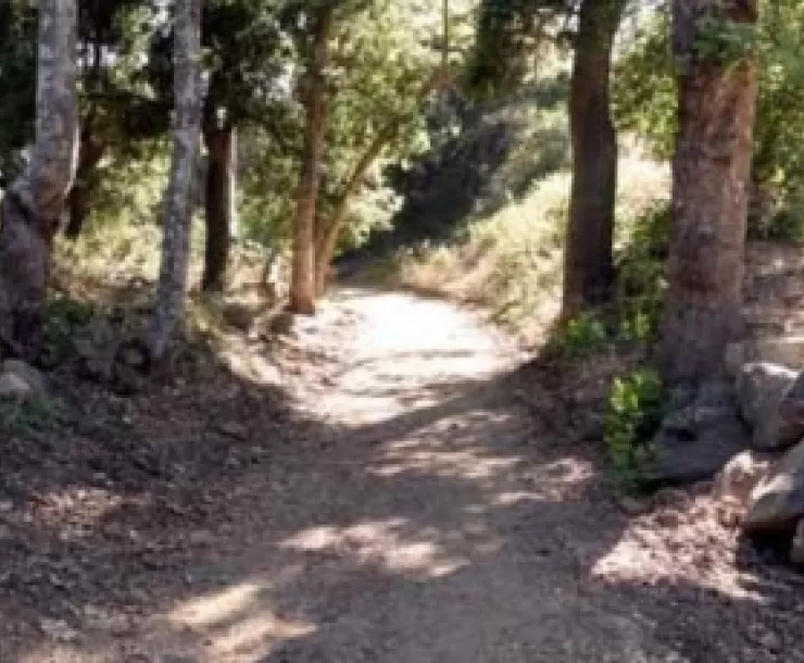 Hot Springs Trail
