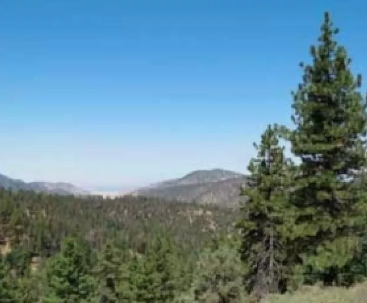 Chumash Wilderness