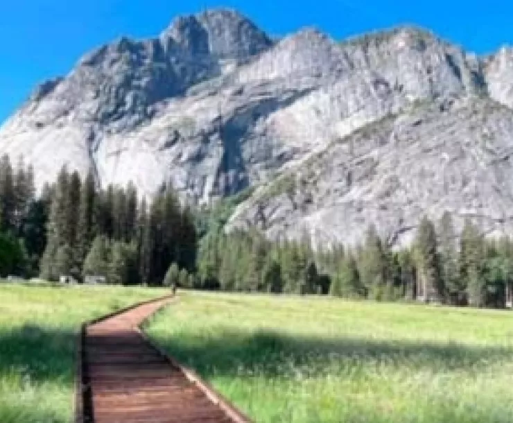 Yosemite National Park