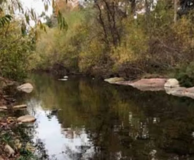 Ventura River