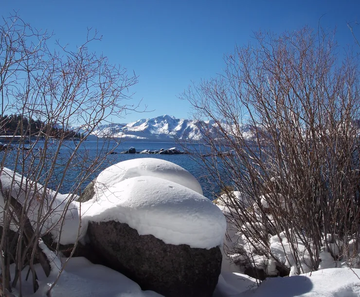 Zephyr Shoals shoreline with willows in foreground