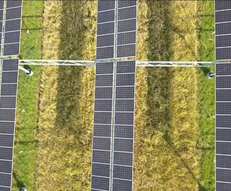 solar array in field