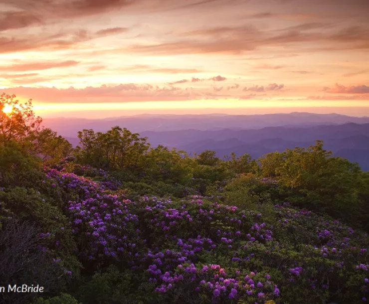 A sunset panorama from high in the Craggy Mountains. Photo by Steven McBride