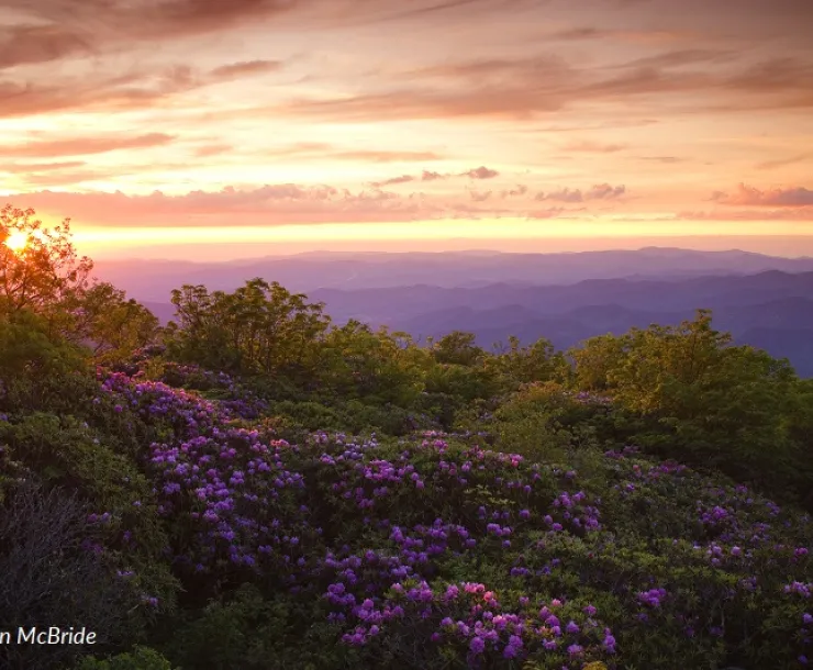A sunset panorama from high in the Craggy Mountains. Photo by Steven McBride