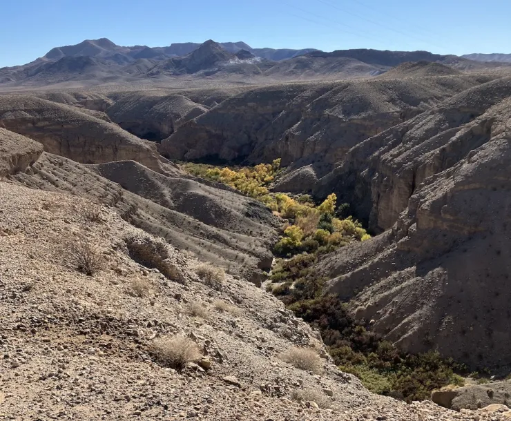 photo of upper Willow Creek in Amargosa Basin