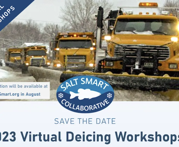 Virtual Deicing Worshops