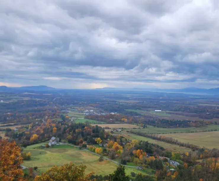 View from Philo