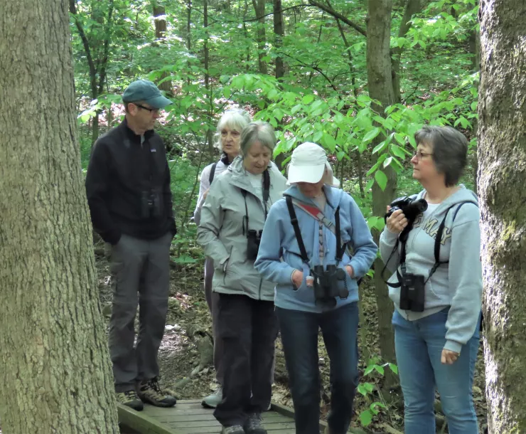 Hikers on a group outing