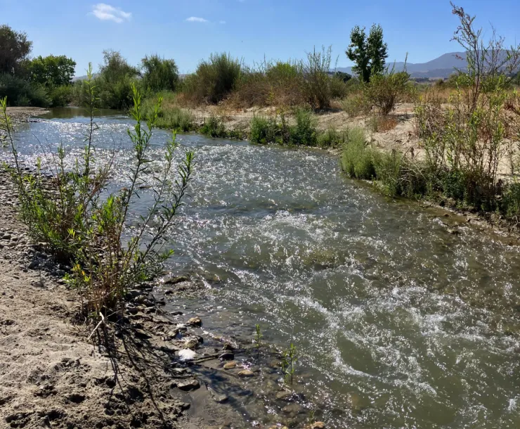 Streambed Mining