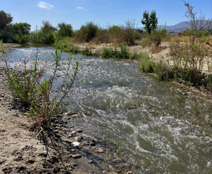 Streambed Mining