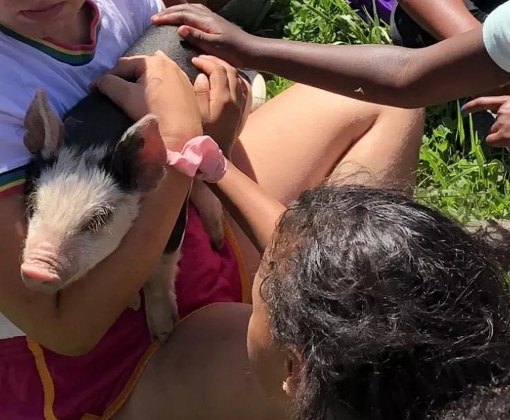 Children on a field trip reach out to pet a small pig held by an adult