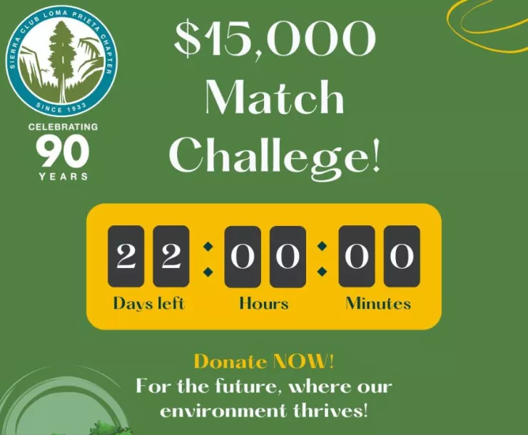 $15,000 Match Challenge