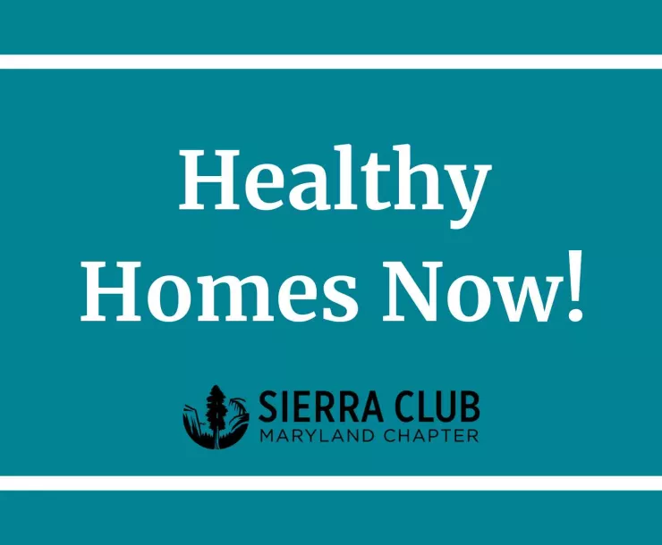 Healthy Homes Now