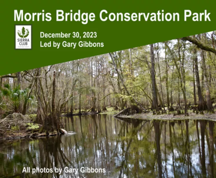Morris Bridge Conservation Park