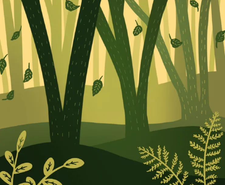 Forests and Wildlife