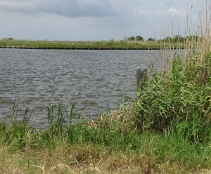 Pollution in Houston