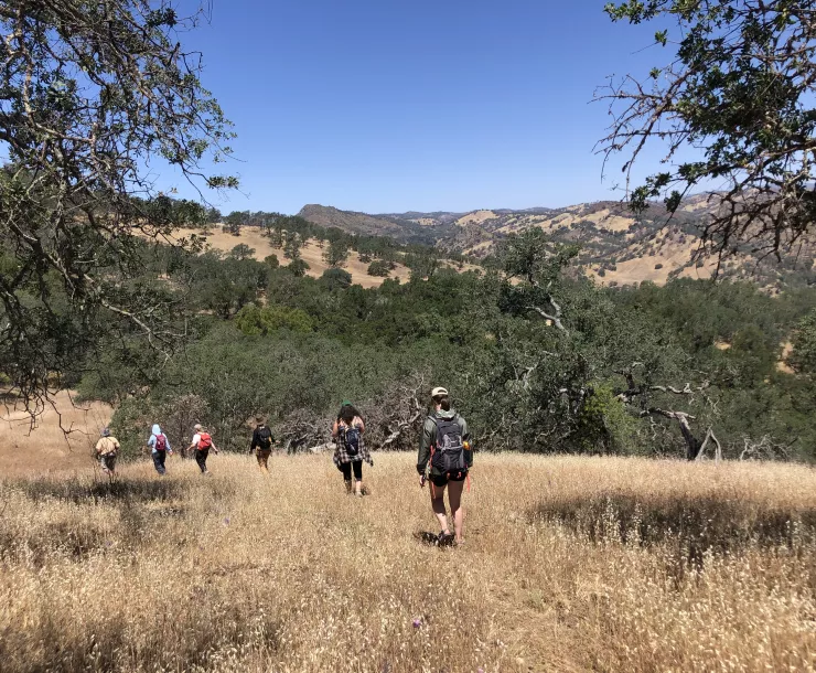 Pacheco Dam
