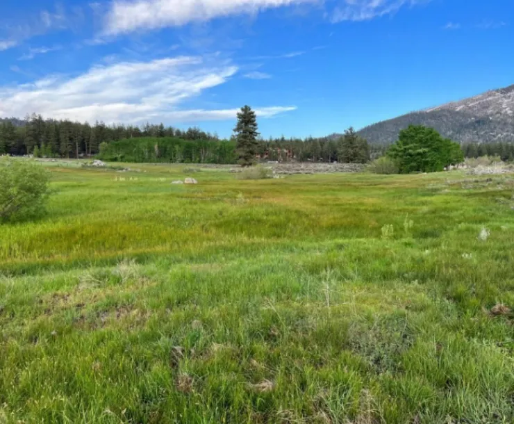 Rabe Meadows