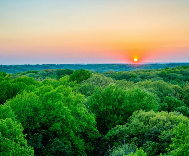 A sunset over a forested area