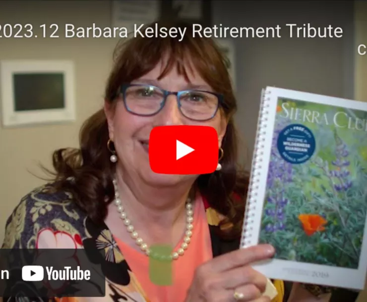 Barbara Kelsey video still