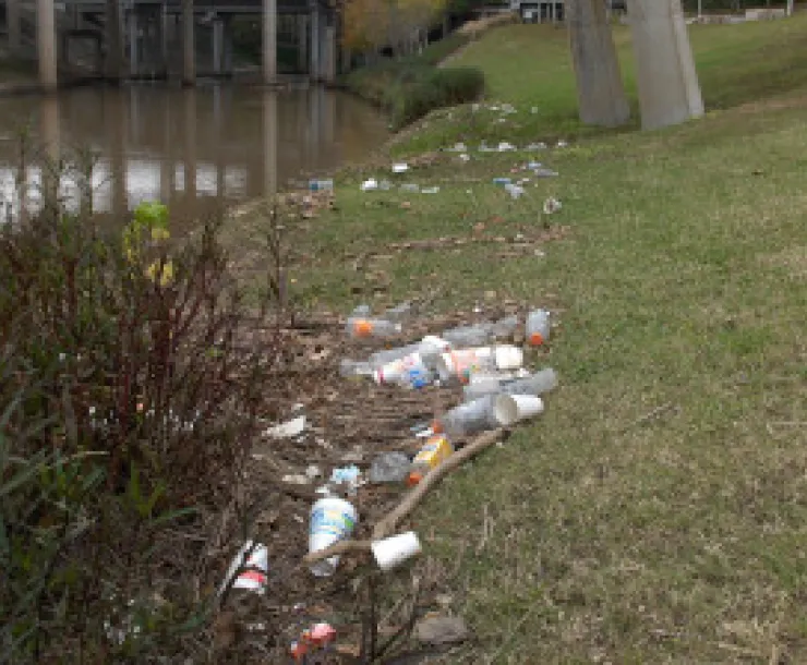 Trash on Buffalo Bayou