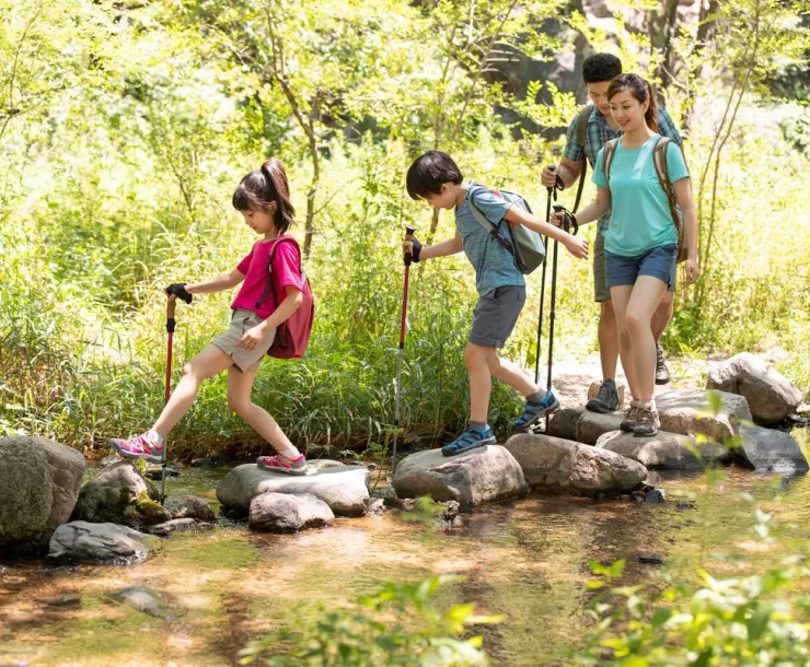 A family, two young children and two parents, walk alongside a stream surrounded by summer greenery.