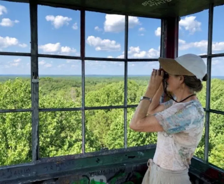 A person standing at a lookout point, looking out of the windows using binoculars. They are looking over a forested area. The trees are green and the sky is a blue, with a few fluffy clouds.
