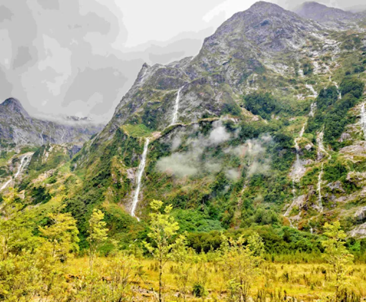 Milford Track falls