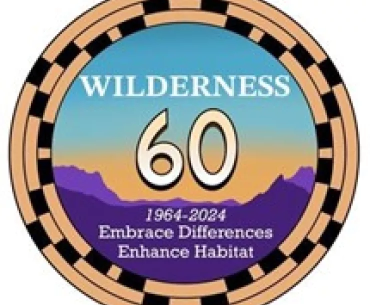 Wilderness 60 logo