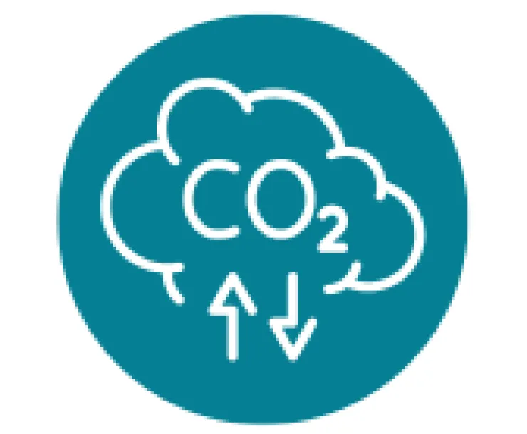 CO2 Emissions graphic