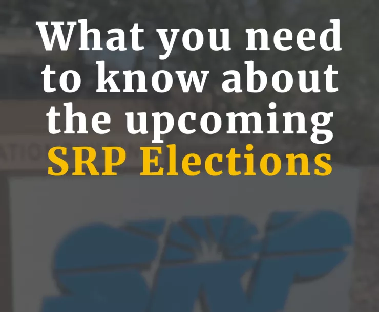 What you need to know about the upcoming SRP elections