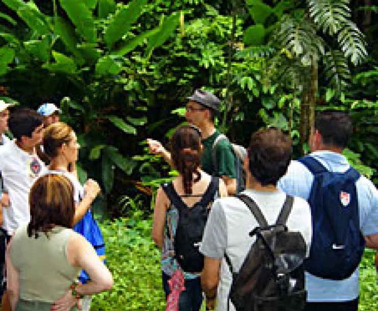 Los Árboles del Jardín Botánico de Río Piedras
