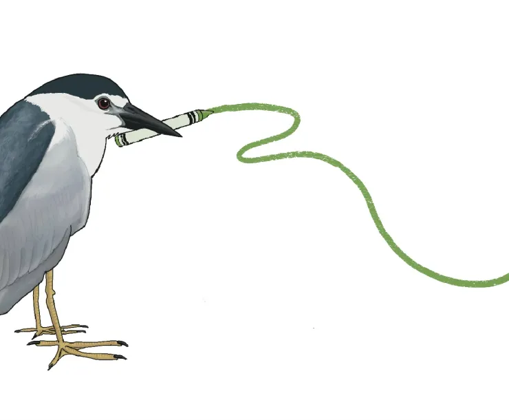 Heron with a green crayon drawing a heart
