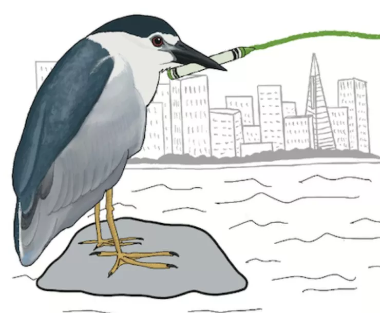Heron and Green Crayon Square