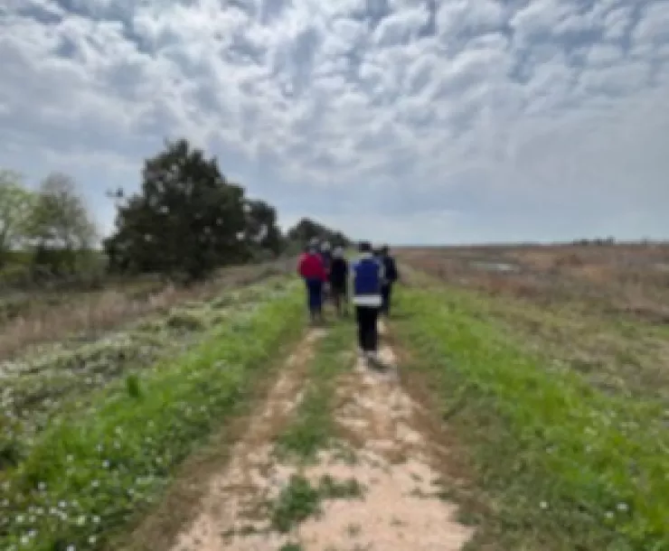 Katy Prairie