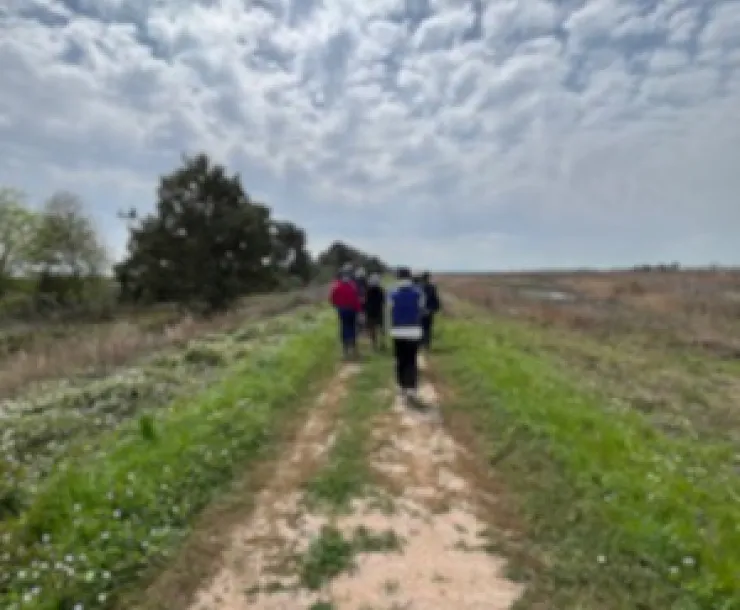 Katy Prairie