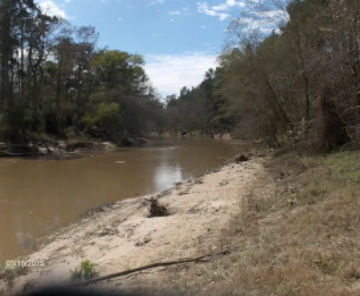 Spring Creek