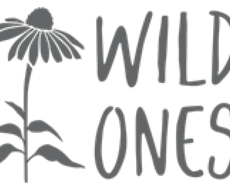 The Wild Ones logo
