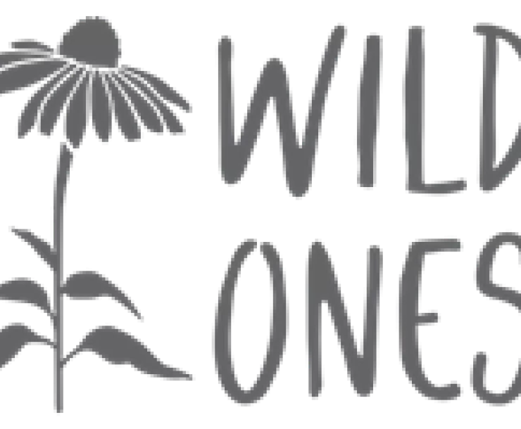 The Wild Ones logo