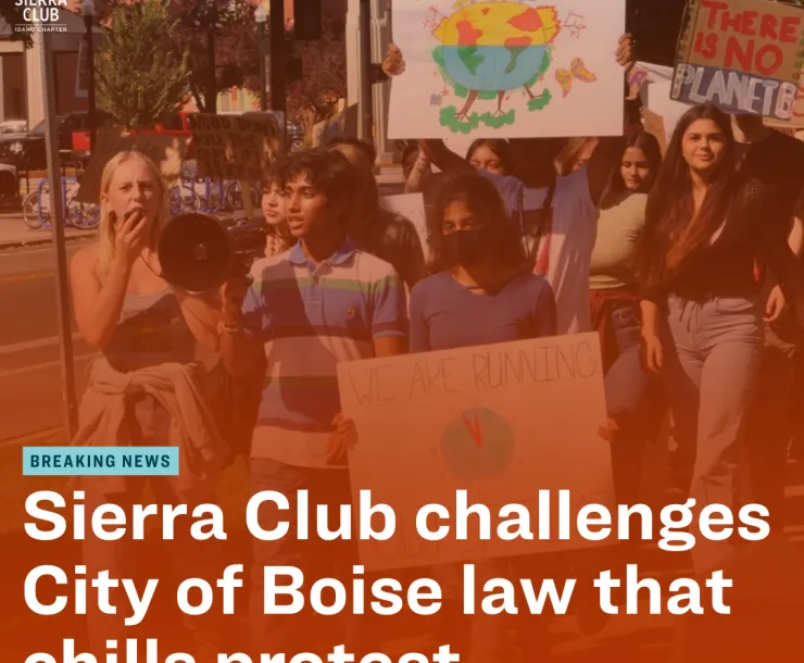 white text on background picture of student protesters with red tint overlay