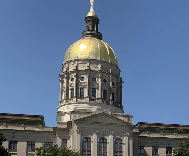 The Georgia Capitol