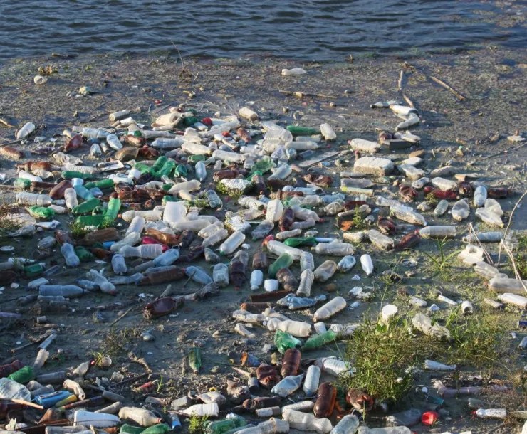 Plastic pollution