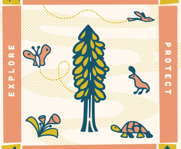 An illustration featuring the Sierra Club motto, "Explore, Enjoy, Protect," for Earth Day 2024