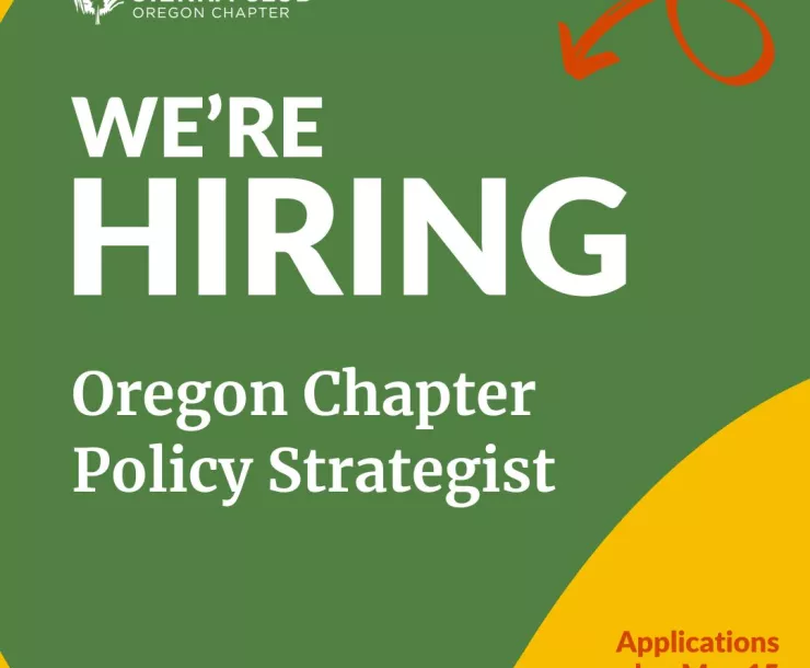 A green and yellow graphic that says, "We're Hiring"